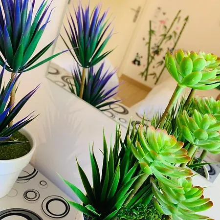 Cosy Modern House - Center - Old Town 别墅 阿尔布费拉