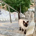 Cosy Modern House - Center - Old Town Villa Albufeira